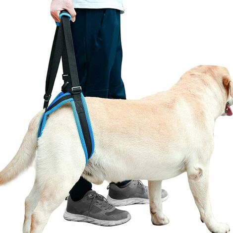 Harnais De Soutien pour Chien, Confortable Et Respirant Harnais De Soutien Avant Et Arrière Chien De 2 Types, Utilisé Les Chiens Rééducation De Petite Et Grande Récupération pour Chiens agés (S), kuea