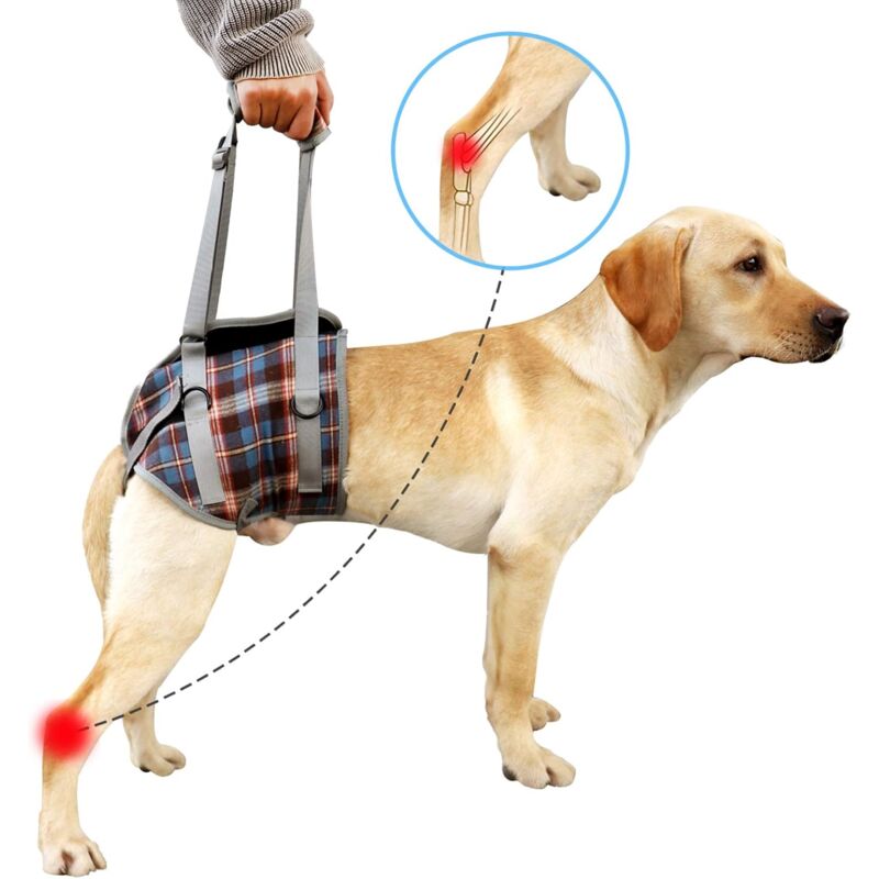 Harnais de soutien pour chien, pattes arrière pour animaux de compagnie, levage réglable, sangle de récupération pour chien, rééducation, aide canine