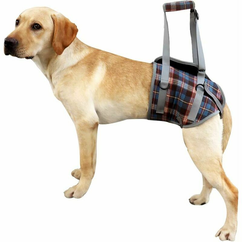 Harnais de soutien pour chien pour pattes avant et arrière Gilet de rééducation de levage réglable Maille rembourrée portable sans traction avec