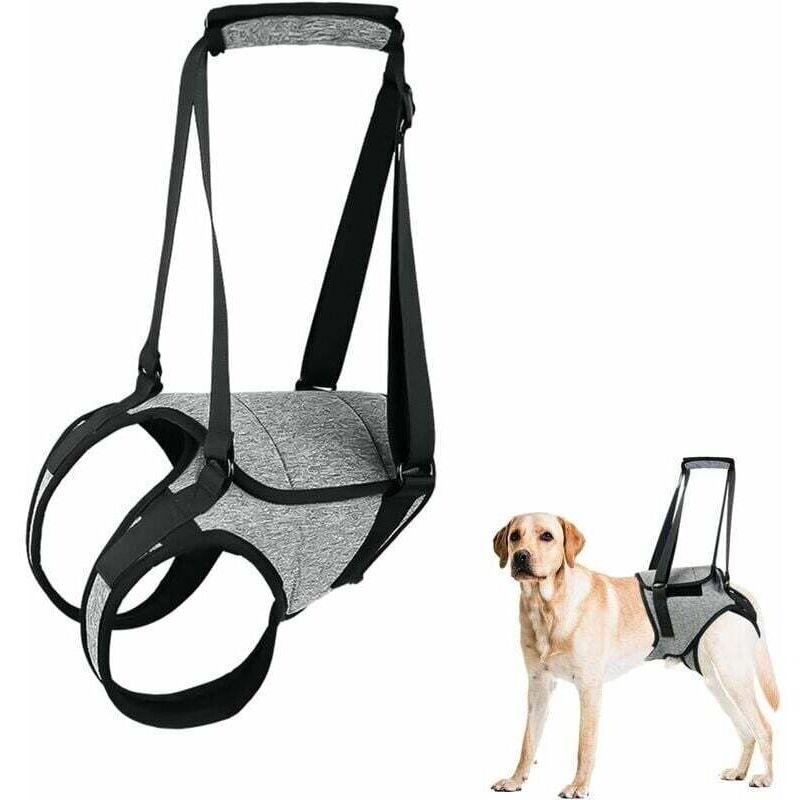 Harnais de soutien pour pattes arrières pour chien, grand harnais pour chien avec poignée de levage, harnais réglable pour chiot pour soulager la