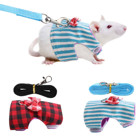 Harnais de traction pour petits animaux, 2 pièces, motif rayures bleues et grille rouge