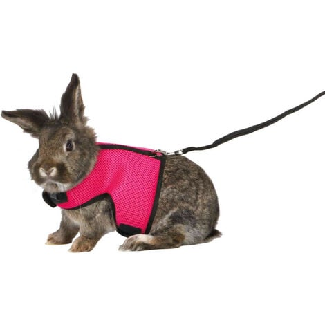 Harnais doux avec laisse 1,2 m pour grand lapins - couleur aléatoire - Trixie - Multicolor