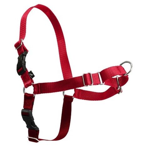 HARNAIS EASYWALK CHIEN XL ROUGE CYNNOTEK CY3119