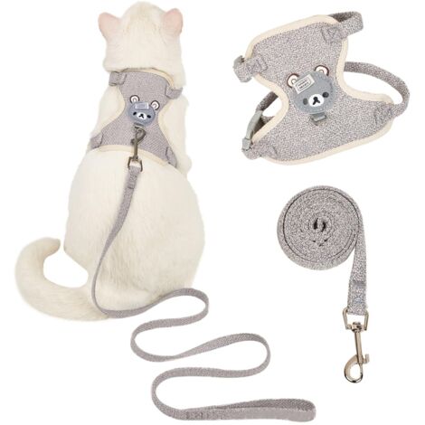 Harnais et laisse ajustable pour chat et petit chien, motif ours, taille M
