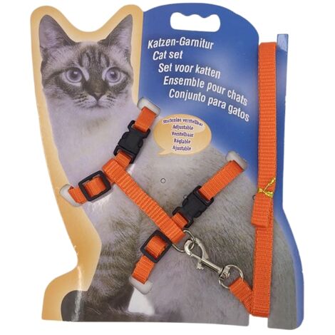 Harnais et laisse en forme de H pour chat, ajustable, orange