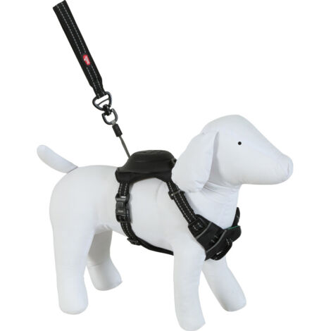 Harnais et laisse enrouleur intégré XS noir pour petit chien max 9 kg - zolux