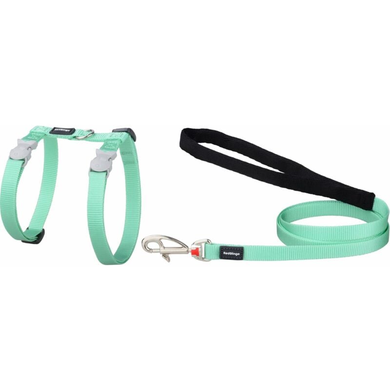 Harnais et Laisse Pastel pour chat : Vert pastel