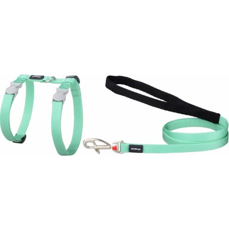Harnais et Laisse Pastel pour chat : Vert pastel