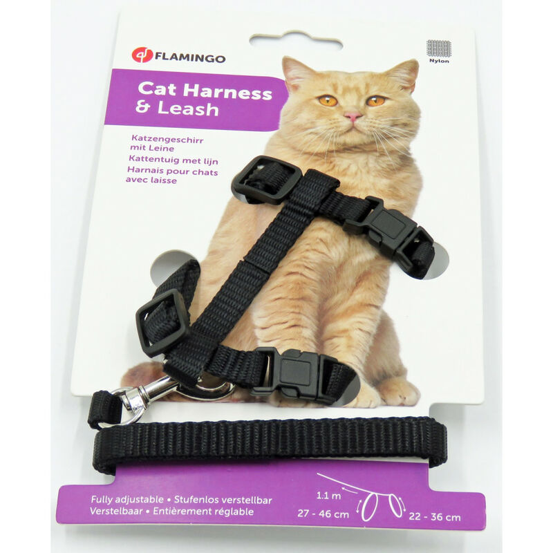 Harnais Et Laisse De 1 10 Metre Pour Chat Couleur Noir Fl