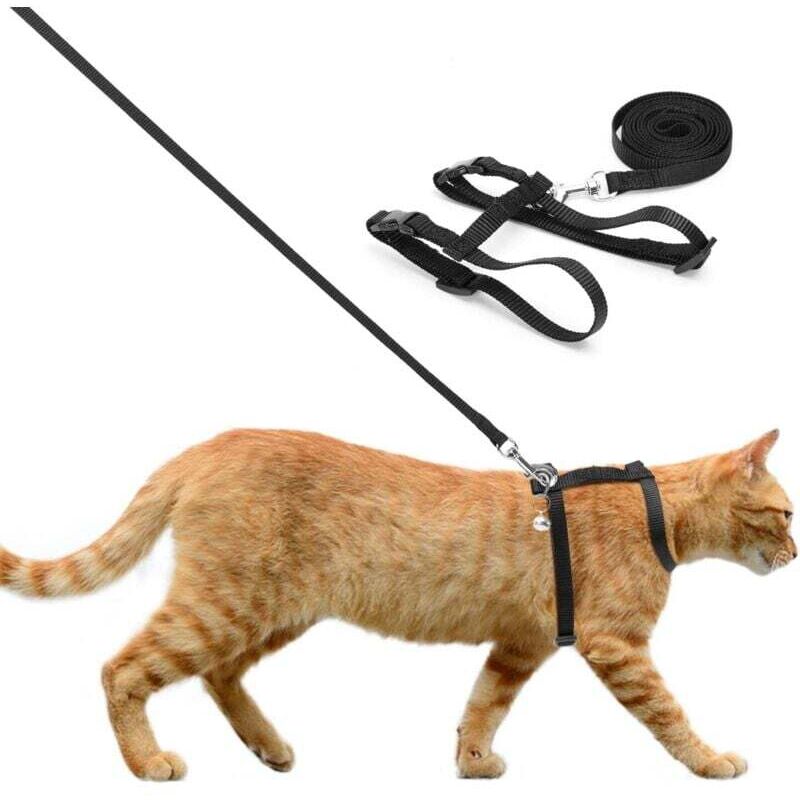 Harnais et Laisse pour Chat, Chat Réglable Résistant à l'Évasion, pour Chiot Chaton des Petits Animaux de Compagnie