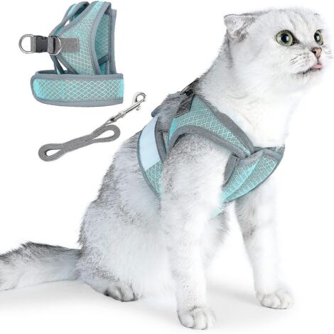 Harnais et laisse pour chat, ensemble gilet anti-fugue souple et réglable, respirant, léger et facile à contrôler, idéal pour les promenades en extérieur - Taille L - Bleu