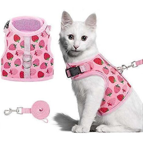 Harnais et laisse pour chat Fraise 2024 - Gilet en maille florale ajustable et anti-fugue pour chaton mignon