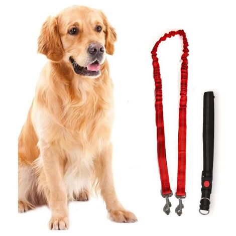 Harnais et Laisse pour chien 190 cm Ceinture réglable 55 à 90 cm Longe Elastique Balade Jogging KZ GARDEN