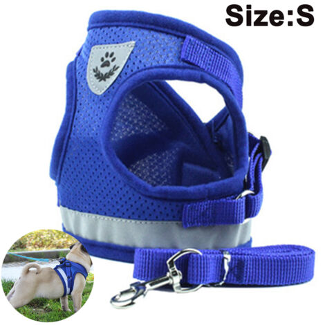 Harnais et laisse pour chien, harnais pour chien rembourré en maille douce pour chiots chats, réfléchissant (S, bleu)