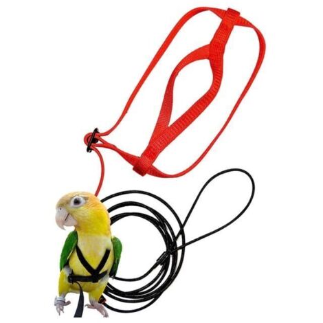 Harnais et Laisse pour Oiseaux, Laisse pour Harnais RéGlable pour Perroquet - Corde de Dressage pour Animaux de Compagnie