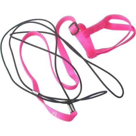 Harnais et laisse réglables en plumes pour perroquet gris du Gabon, cacatoès et ara, corde de promenade extérieure (M (rose))
