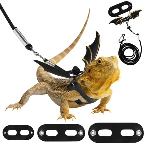 Harnais et laisse réglables pour dragon barbu, laisse en cuir pour reptiles, 3 tailles, harnais d'extérieur pour lézards, reptiles