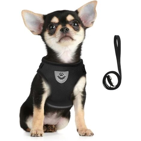 Harnais et laisse rembourrés en maille respirante et réglable pour chiens et chats avec intérieur réfléchissant