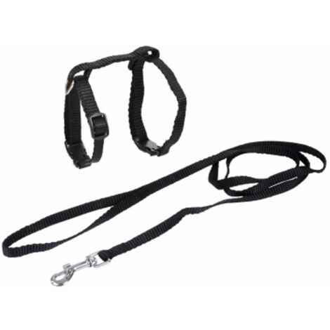 Harnais & Laisse pour Chat "Kit" 120cm Noir