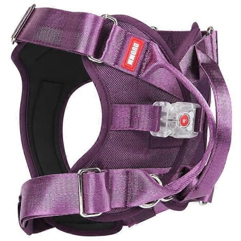 Harnais lumineux pour chien anti-traction LED avec poignée, gilet éclairé pour chien taille L - Violet