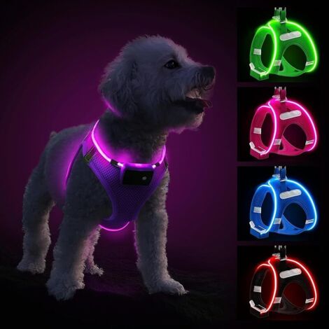 Harnais Lumineux Rechargeable LED pour Chien, Clignotant Réfléchissant Confortable, Petit Moyen Chiot, Violet-XS