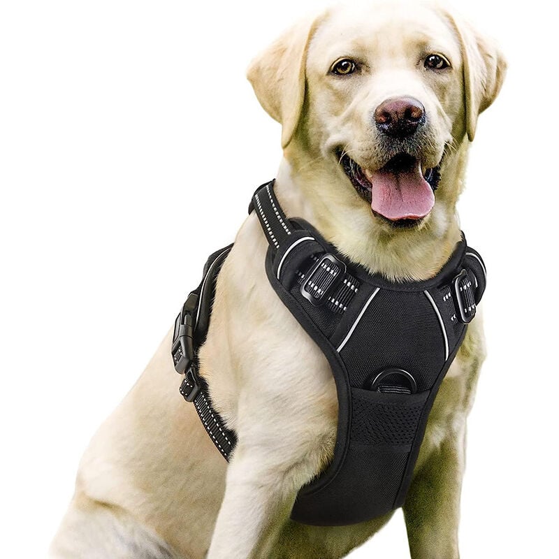 Harnais pour animaux de compagnie en nylon réfléchissant, harnais pour chien de voyage en plein air, harnais réglable antidéflagrant (m)
