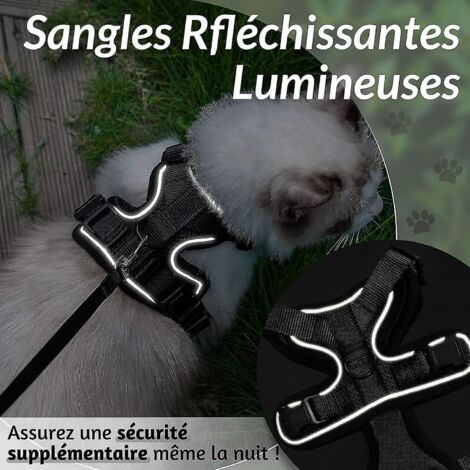Harnais pour chat ajustable, collier réfléchissant et respirant, idéal pour lapins, chats européens, Maine Coons, Persans, avec attache supérieure et laisse - Taille S bleu