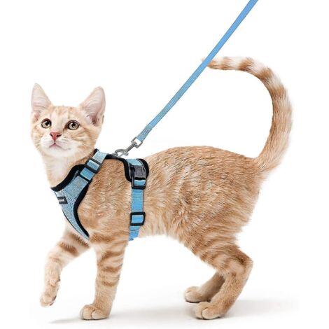 Harnais pour chat ajustable, collier réfléchissant et respirant, idéal pour lapins, chats européens, Maine Coons, Persans, avec attache supérieure et laisse - Taille XS - bleu