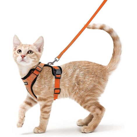 Harnais pour chat ajustable, collier réfléchissant et respirant, idéal pour lapins, chats européens, Maine Coons, Persans, avec attache supérieure et laisse - Taille XS - orange