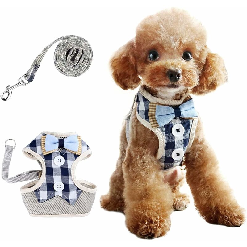 Harnais pour Chat avec Harnais pour Chat résistant à la Casse Laisse pour Chat avec Harnais pour Chat, Harnais réglable pour Chien, Doux, pour Chats,