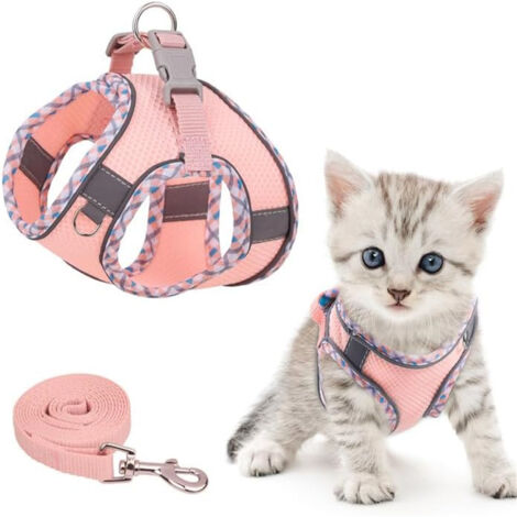 Harnais pour Chat et Petit Chien