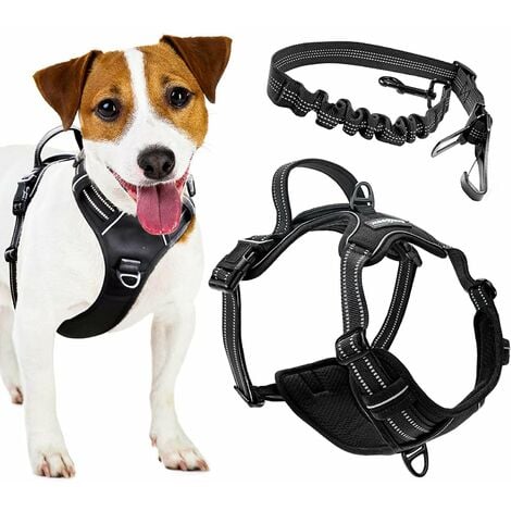 PetSafe Harnais 3-en-1 pour Chien - Ceinture de …