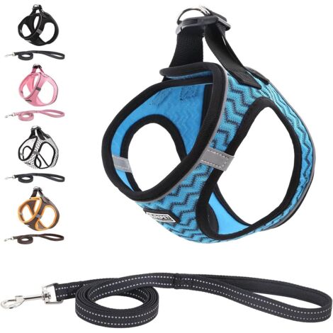 Harnais pour chien avec plomb, harnais de poitrail élastique, réfléchissant, pour chiens de petite et moyenne taille, chats (XL, bleu)