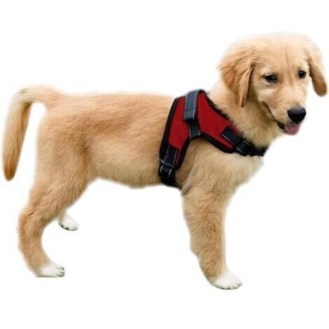 Harnais pour chien avec poignée - Confortable et doux, maille toutes saisons, facile à porter, convient aux chiens de petite, moyenne et grande taille (rouge) M (52-66 cm)