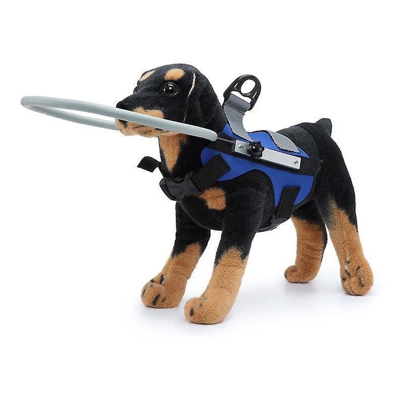 Harnais pour chien aveugle Gilet de protection pour chiens Prévenir les collisions Anneau