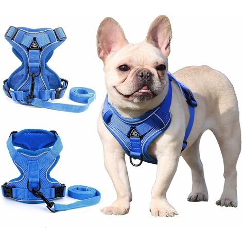 Harnais pour chien de petite et moyenne taille (bleu M)-kueatily