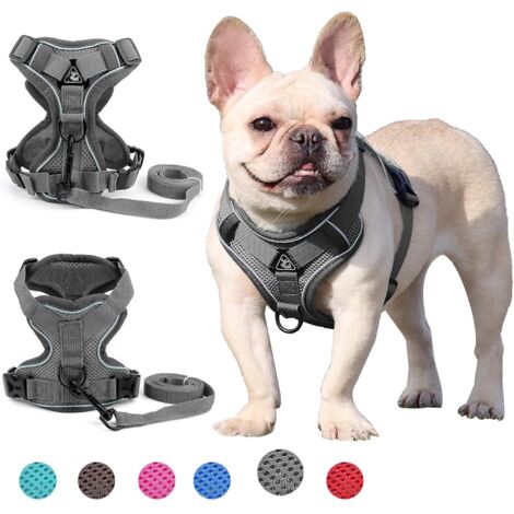 Harnais pour chien de petite et moyenne taille (Gris S)