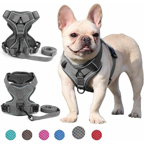 Harnais pour chien de petite et moyenne taille (Gris XL)-kueatily