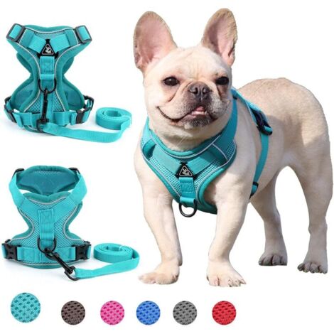 Harnais pour chien de petite et moyenne taille (vert S)