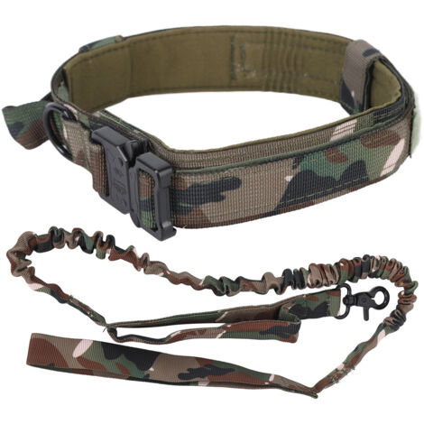 Harnais pour Chien Doux et Réglable avec Laisse Renforcée en Nylon pour Dressage