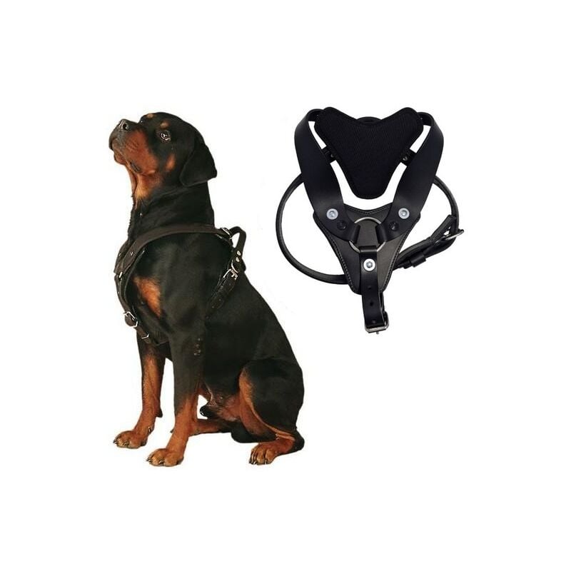 Harnais Scorpion pour chiens d'intervention Désignation : Harnais Scorpion Taille : T3 Scorpion 193502