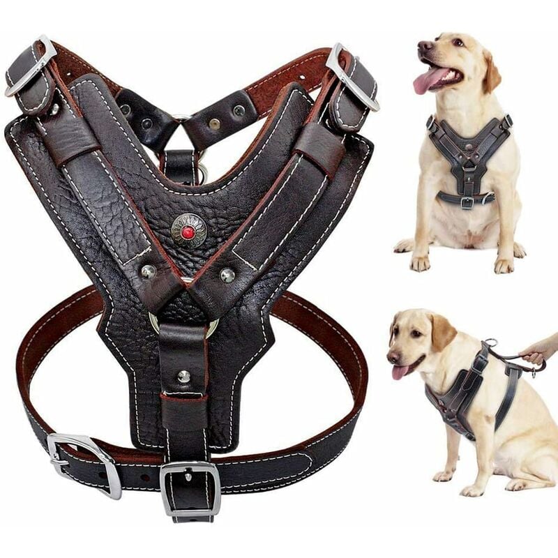 Ahlsen Harnais pour chien en cuir véritable durable réglable pour grands chiens Contrôle rapide avec poignée Accessoires pour animaux domestiques