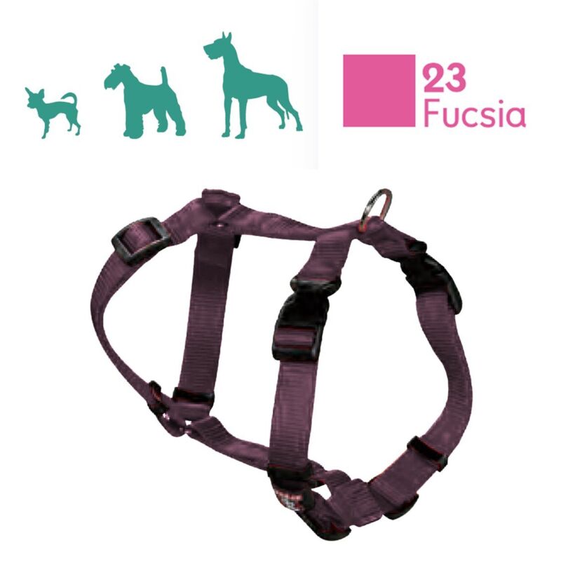 Harnais pour chien en nylon basique 1.5m pour animaux Harnais pour chien en nylon basique 1.5m pour animaux