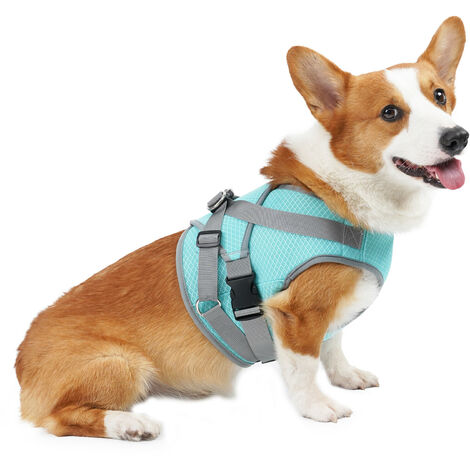 Harnais pour chien Gilet de refroidissement Réglable Respirant Mesh Pet Summer Cooler Jacket Turquoise