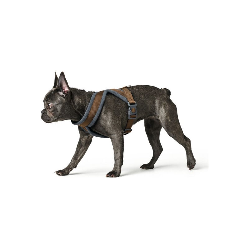 Harnais pour Chien Hunter London Comfort 52-62 cm Marron Taille s/m