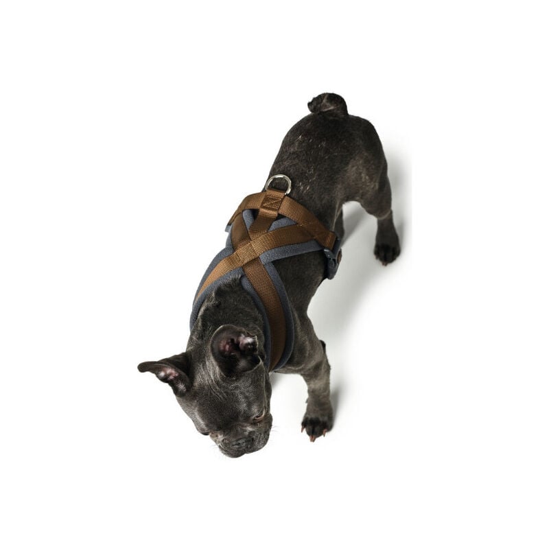 Hunter - Harnais pour Chien London Comfort xs-s 39-47 cm Marron
