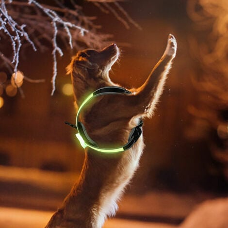 EINFEBEN LED Harnais pour chien harnais de chat harnais de poitrail harnais  de chiot réglable USB