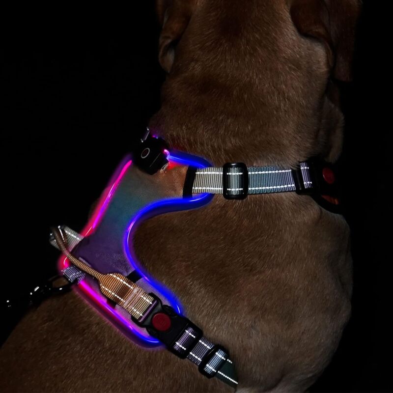 Harnais pour chien lumineux à led : gilet réfléchissant réglable avec harnais pour animaux de compagnie rechargeable et sans étranglement, poignée de