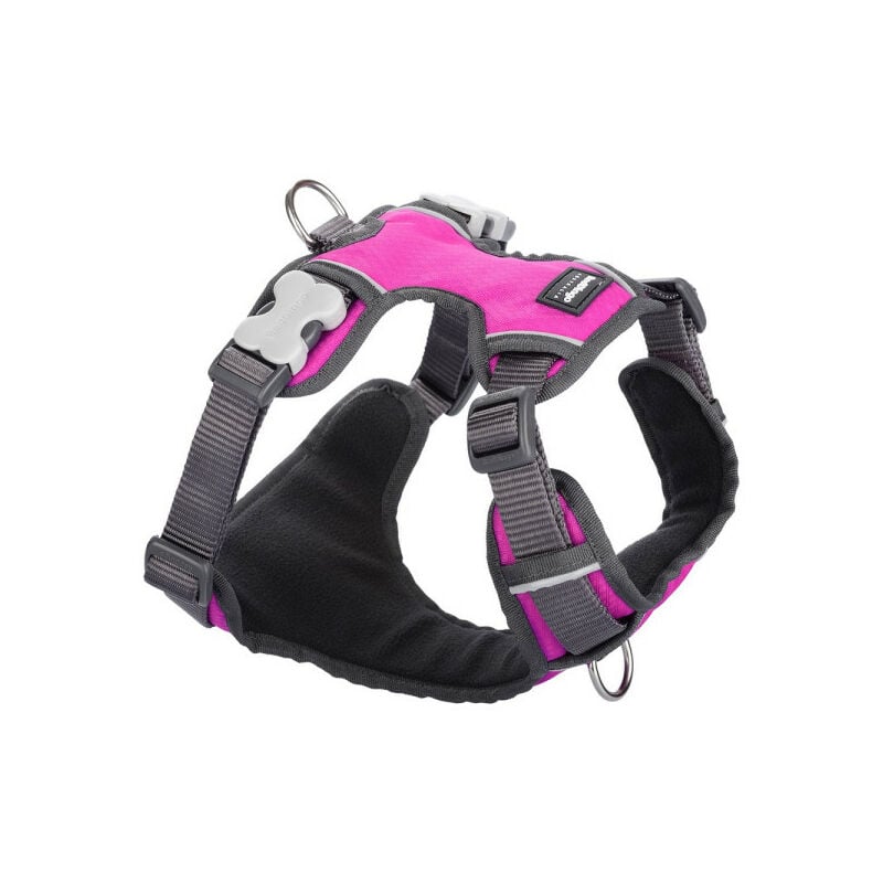 Harnais pour Chien Red Dingo Rembourré Fuchsia Taille xs