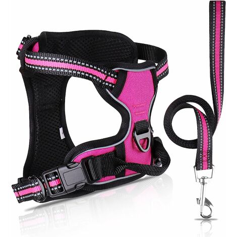 Harnais pour Chien sans Traction avec Laisse,Parfaitement Respirant Ajustable Harnais Avant réfléchissant,idéal pour Les Petits Chiens de Taille Moyenne, entraînement en Plein air(L